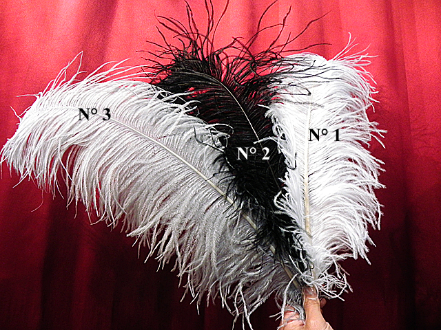 LARGE FEATHERS for MUSKETEER HAT - OSTRICH or PHEASANT