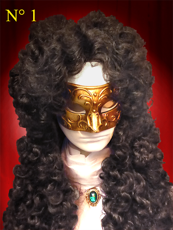 LOUIS XIV WIG - 17th century wig with 3 sides of full hair