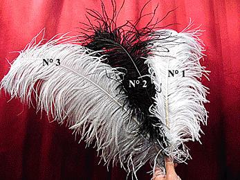 LARGE OSTRICH or PHEASANT FEATHERS - MUSKETEER HAT