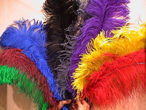 feathers !
